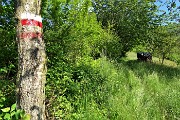 35 Oltre la Pernice, seguendo la segnaletica rimessa a nuovo